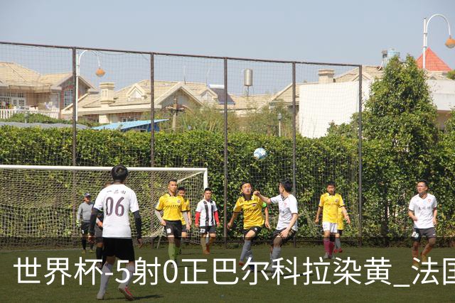 世界杯-5射0正巴尔科拉染黄 法国队半场暂0-0巴拉圭